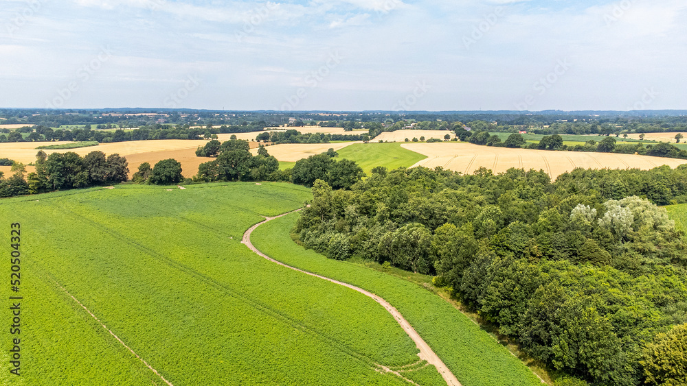 Naklejka premium Landscape
