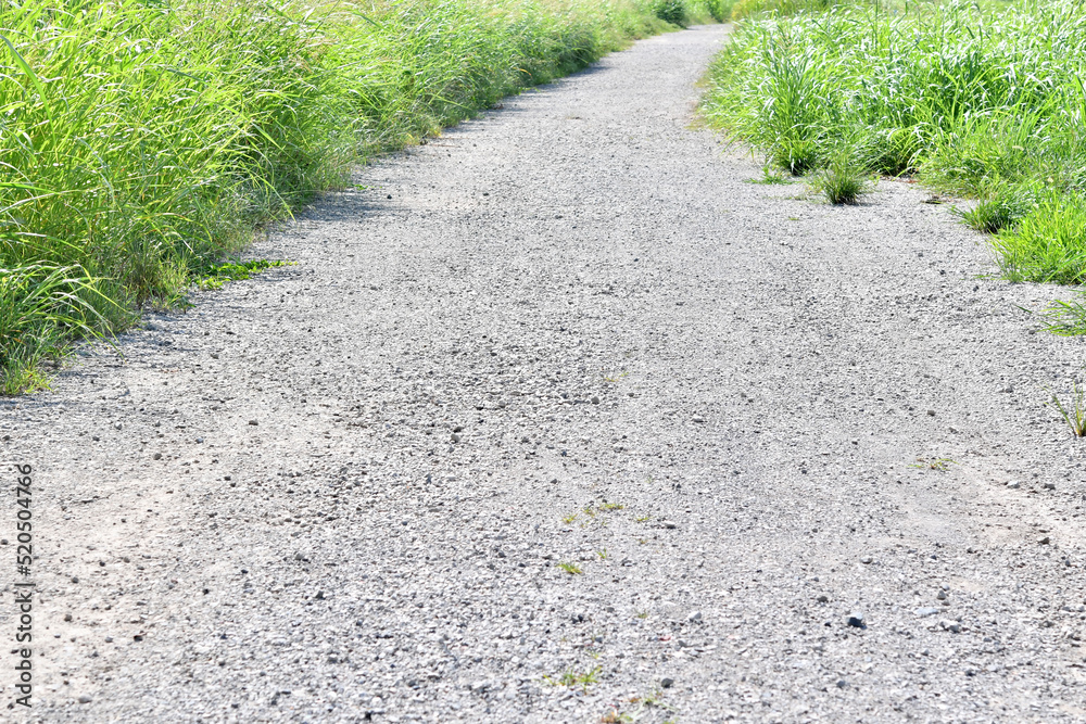 一本道 Stock Photo Adobe Stock