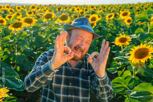 elderly happy farmer man in a hat and shirt, with a mustache and bearded shows sign ok. Smiling senior farmer male or agronomist looking at camera in sunflower field and gesturing with ok sign