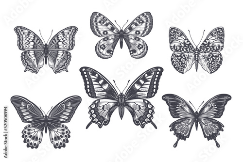 Black and White Butterflies Set. Vintage