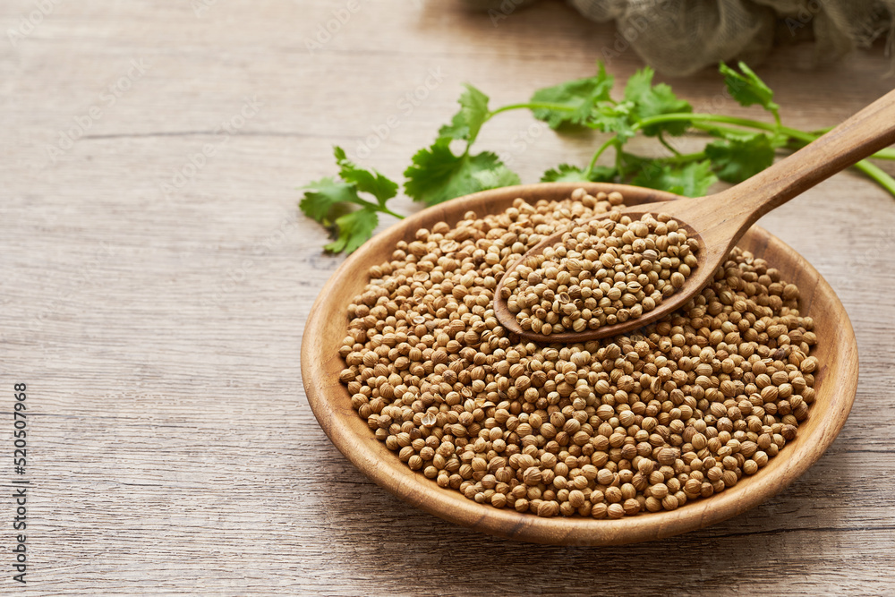 dry coriander seed spice and leaf or leaves in wood plate and spoon on wooden table background dry coriander seed spice and leaf or leaves in wood plate and spoon on wooden table background