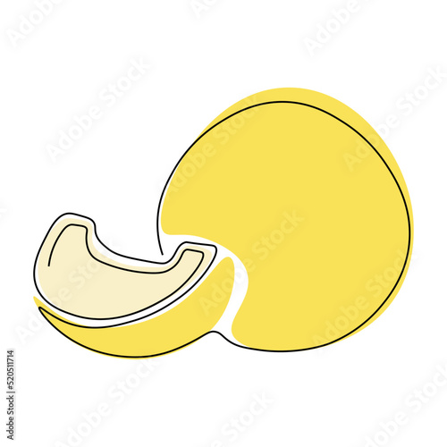 Melon drawing drawn with one continuous line