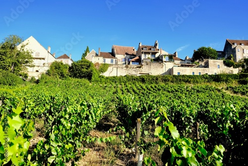 vignoble vézelien vézelay
