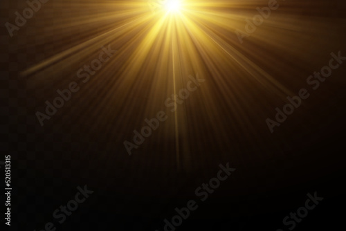 Shining golden stars isolated on black background. Effects, glare, lines, glitter, explosion, golden light. Vector illustration