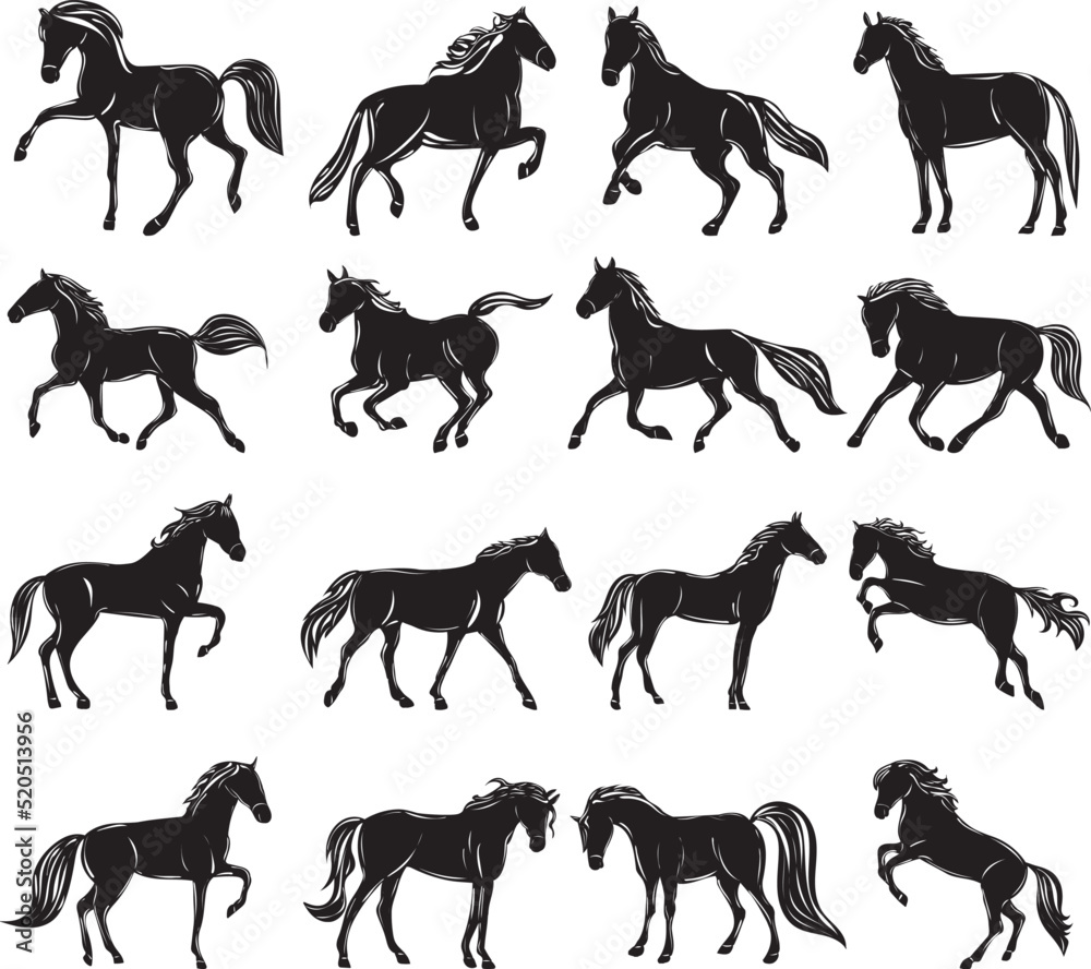 horse silhouette set on white background isolated, vector