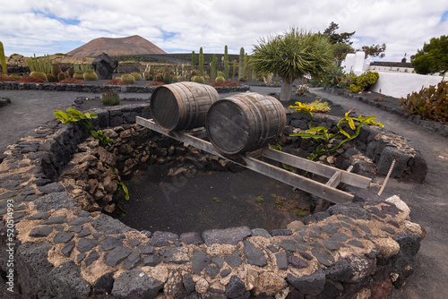 Fotografie wooden wine barrels against the backdrop of a volcanic landscape, Lanzarote, Can