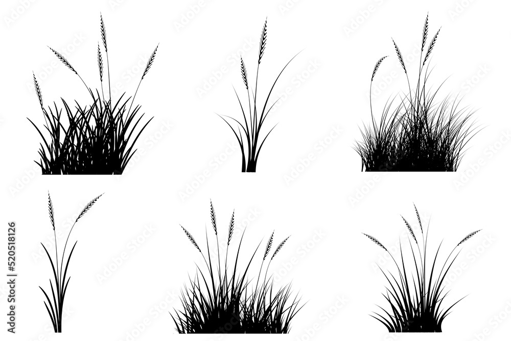 reeds grass silhouette. grass bundle - obrazy, fototapety, plakaty 