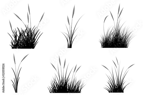 reeds grass silhouette. grass bundle
