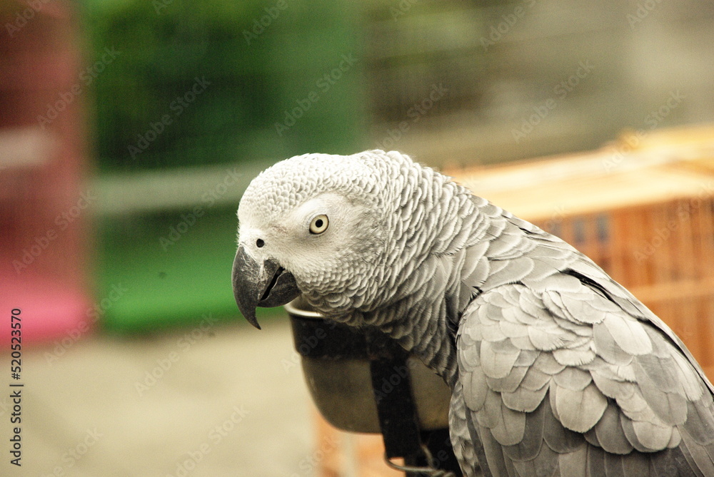 Obraz premium HONG KONG