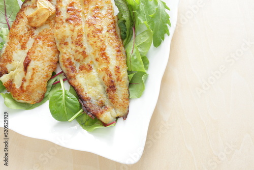 Homemade, butter sautéed fish fillet baby leaves salad photo