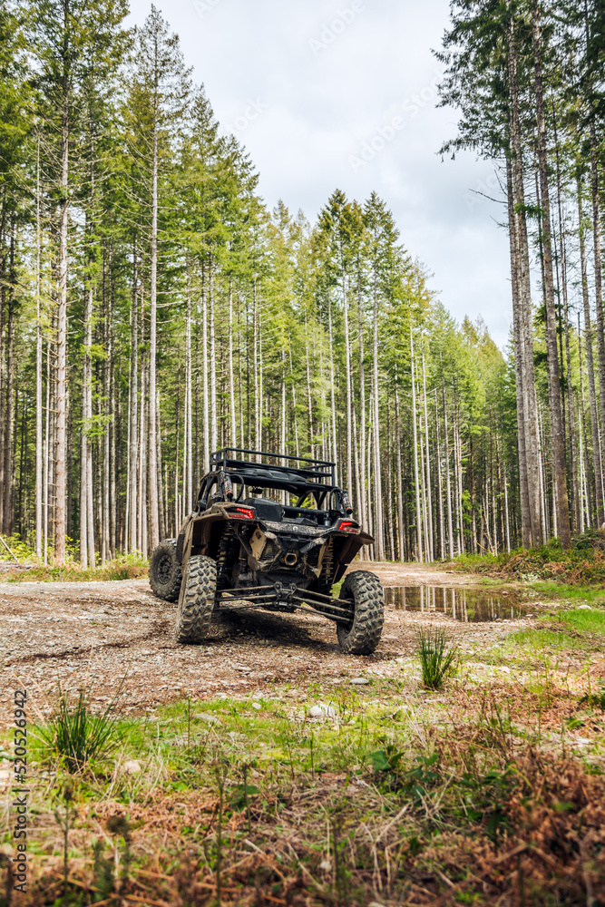 Fototapeta premium UTV in the woods dirty from mud