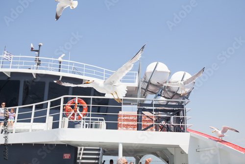 Seagulls on the ferryboat. Summer travel season. View on seascape, mountain landscape on the island of Thassos, Greece. Holiday concept. 