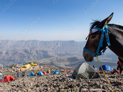 Views of mule transport and camping site on Iran's highest peak .21September 2022 Mazandaran-İran photo
