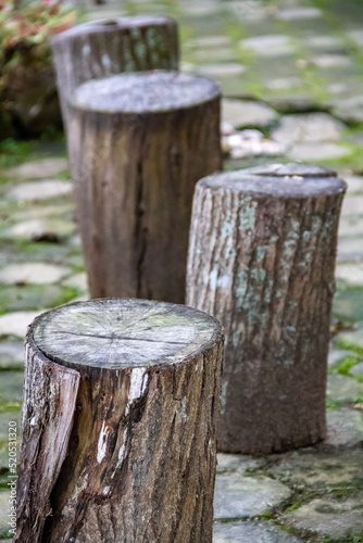 The logs used as chairs in the garden