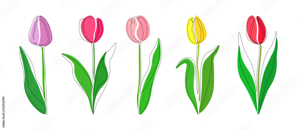 Set lilac, pink, yellow and red tulips continious one line on a white background. Five multi-colored tulips in one line. Vector illustration. Set lilac, pink, yellow and red tulips continious one line on a white background. Five multi-colored tulips in one line. Vector illustration.