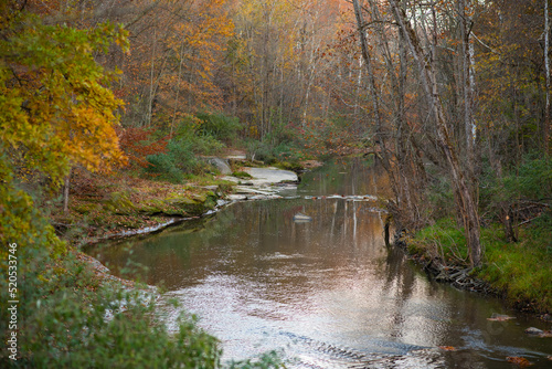 River in park during autumn