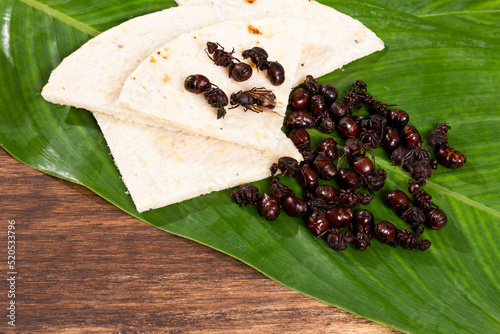 Ants culonas Typical Gastronomy of Santander Colombia; Photo On Wood Background photo