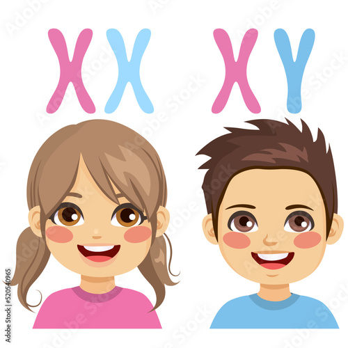 Sex chromosomes (X and Y chromosome) for boy and girl. Allosomes. Females are XX, in males are XY chromosomes