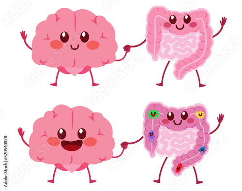 Cute healthy happy brain and intestine gut mascot characters. Unity of mental and digestive concept