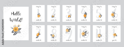 Baby shower print with cute flowers capturing all the special moments. Baby milestone number cards. Vector illustrations