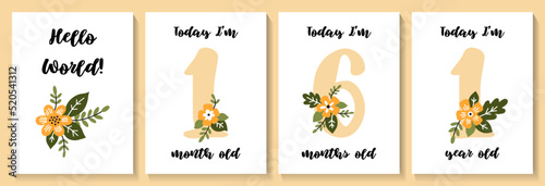 Baby shower print with cute flowers capturing all the special moments. Baby milestone number cards. Vector illustrations