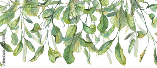 Long seamless banner header with hand painted watercolor green leaves. Botany illustration for designing greeting cards and wedding templates