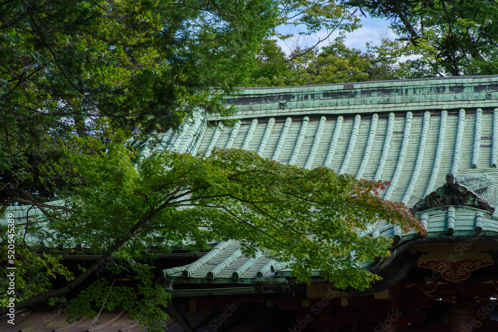 東京赤坂にある氷川神社の境内