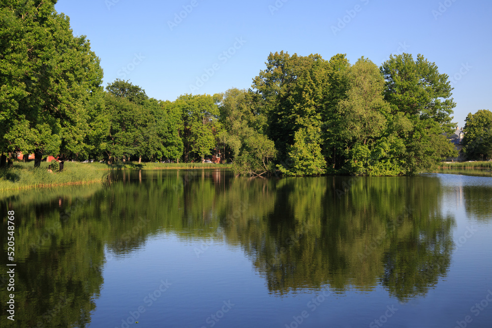 Summer landscape with trees reflected in the water on a sunny day.