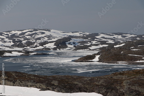 Park Narodowy Hardangervidda w Norwegii