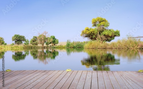 Fotografie, Obraz Wooden deck built on the lake with a trees and blue sky on the horizon
