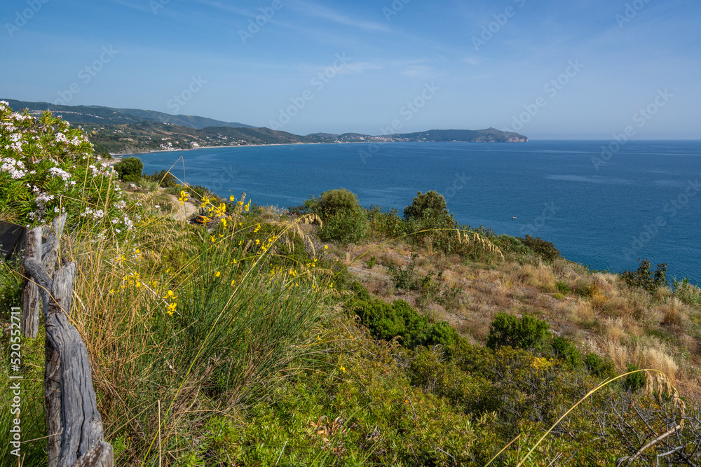 Scenic panoramic view of Cilento coast with beautiful beaches and clear sea, Campania region, Italy.