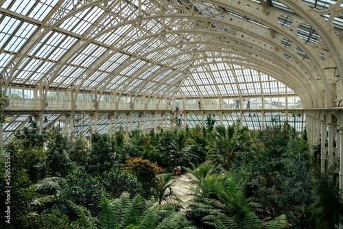 Wide-angle shot of interior view of an orangery with exotic plants photo