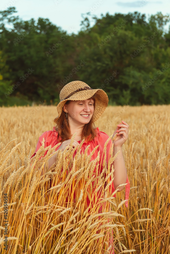 Obraz premium A woman in the evening in a wheat field examines the ears