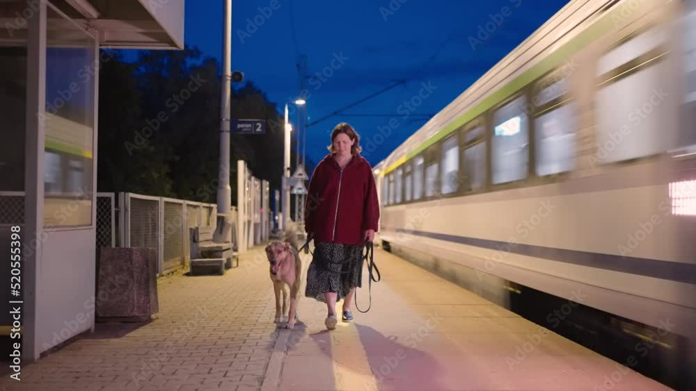 custom made wallpaper toronto digitalYoung woman with a dog walking along platform of train station while passenger train passing by