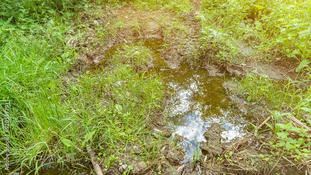 Puddle and mud on grassy ground on spring day closeup Puddle and mud on grassy ground on spring day closeup