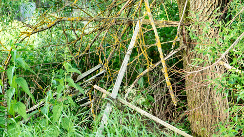 Old broken planks and dry tree branches with lichen in park