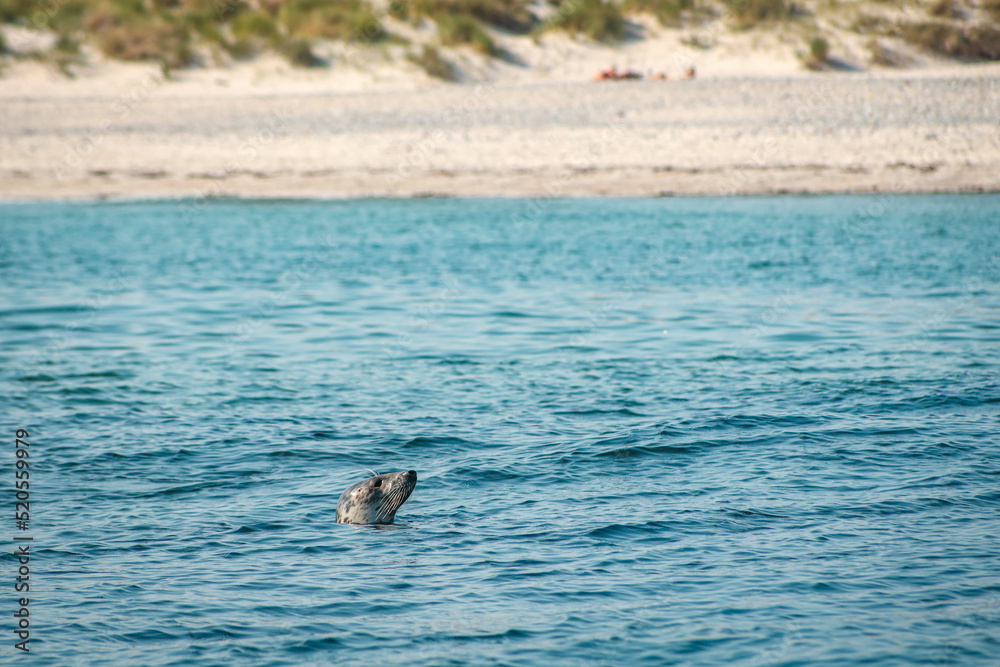 Fototapeta premium Helgoland