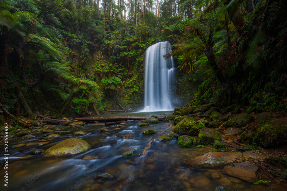 Obraz premium Hopetoun Falls, in the Great Otway National Park in Victoria, Australia