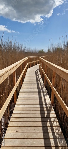 Photography Vertical shot of a walking bridge on the lake 'Store Hoj So' in Vestamager, Cope
