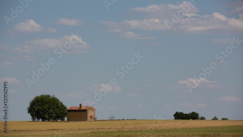 Scenic view of a rural house near a green tree in a field on a sunny day in Castilla-Leon, Spain photo