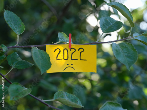 A yellow paper note with the year 2022 and a sad face on it attached to a tree with a clothes pin photo