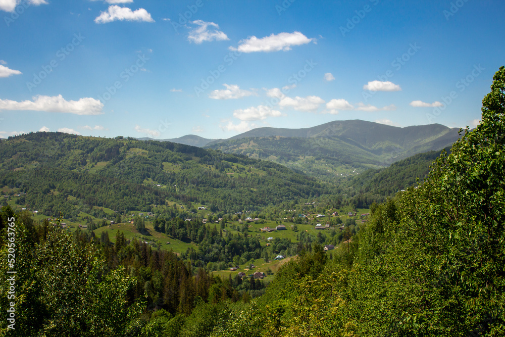Bright morning in the Carpathians