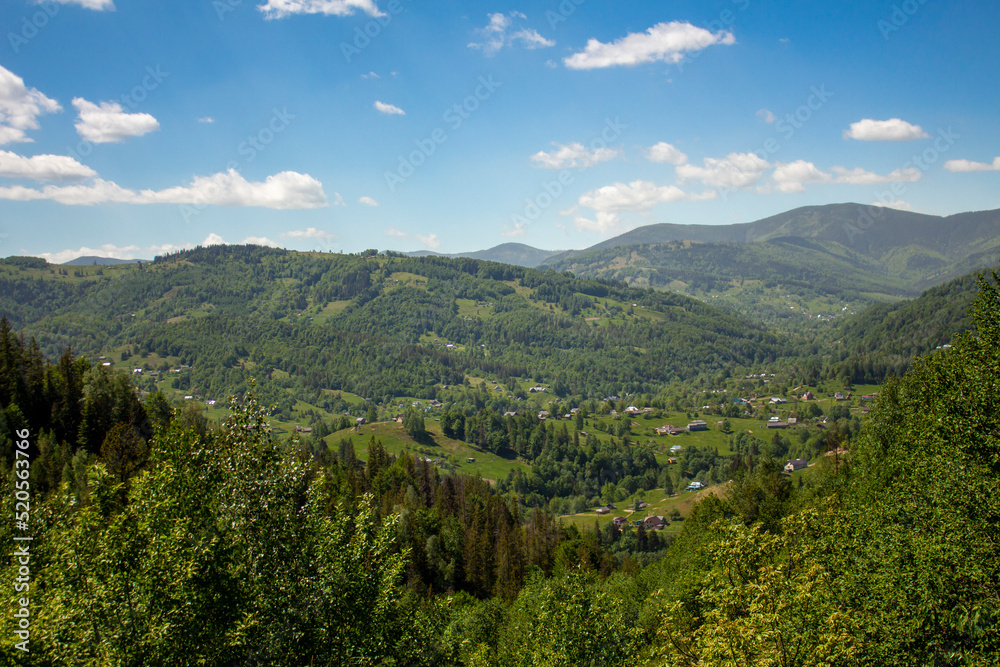 Bright morning in the Carpathians