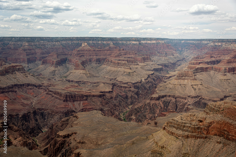 grand canyon bus