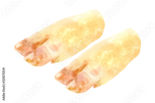 豚足