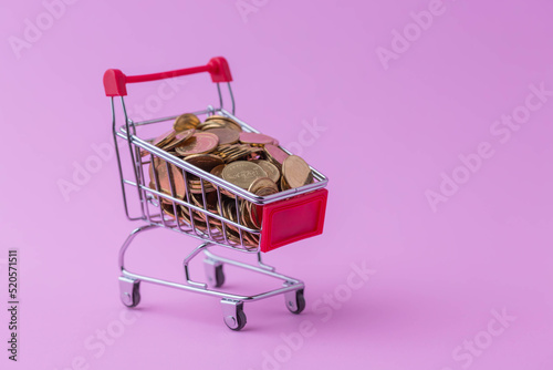 Shopping carts have coins inside, showing the financial investment economy has to be planned for e-commerce business success in the online marketplace on pink background.