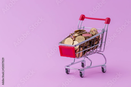 Shopping carts have gold coins inside, showing the financial investment economy has to be planned for e-commerce business success in the online marketplace on pink background.