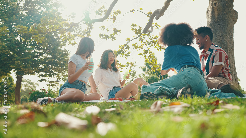 Happy smiling young multinational people at picnic on summer day outdoors. Friends have fun weekend together, relaxing in the park at picnic Happy smiling young multinational people at picnic on summer day outdoors. Friends have fun weekend together, relaxing in the park at picnic