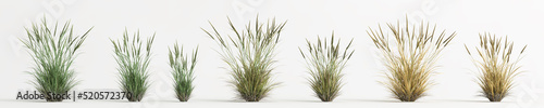 3d illustration of set grass bush isolated on white background