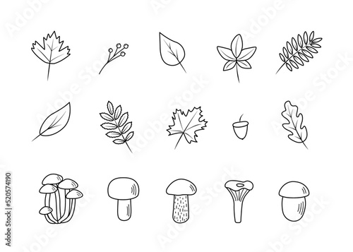 Doodle set of tree leaves and mushrooms, autumn concept, vector illustration.